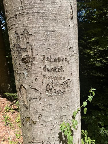 Auf der Spur des Drachen: Rundwanderweg Drachenfels