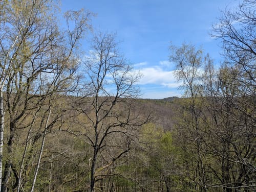 Urwald Tour (Premiumwanderweg)
