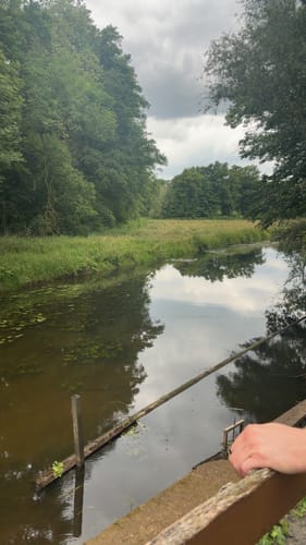 Wabe 218 Lauheide