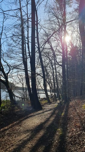 Schloss Dammsmühle - Mühlenbecker See - Summter See