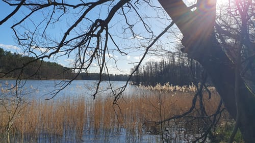 Schloss Dammsmühle - Mühlenbecker See - Summter See
