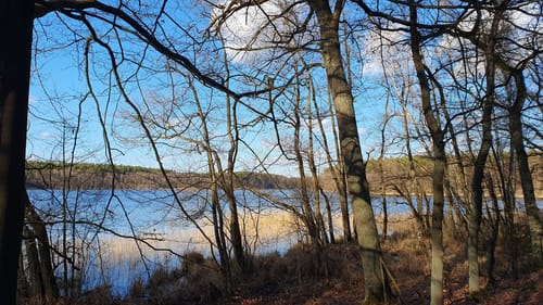 Schloss Dammsmühle - Mühlenbecker See - Summter See
