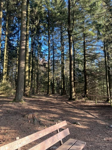 Rundwanderweg Vogel Platte