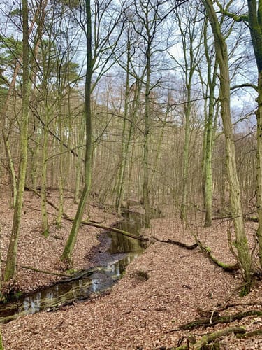 Von Siehdichum durchs Schlaubetal bis zum Wirchensee