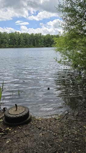 Um den Elbsee
