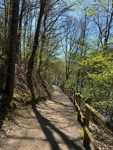 Naturpark Südeifel Wanderweg Nr. 16 - Biersdorf am See