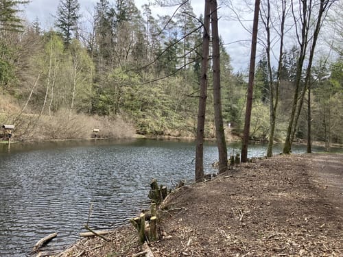 Am Schwarzbach: Ritterstein - Ramschel-Weiher