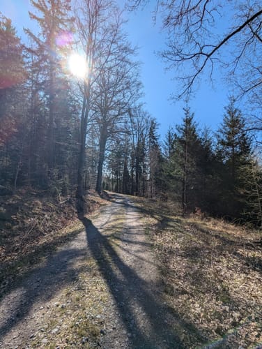 Ohorner Steinberg und Quelle der Schwarzen Elster ab Luchsenburg