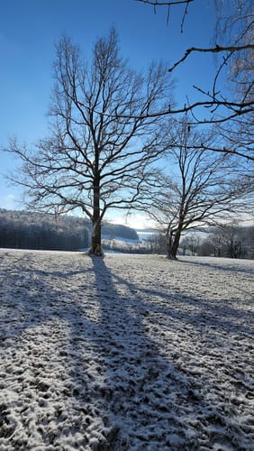 Rundwanderweg Kimbach