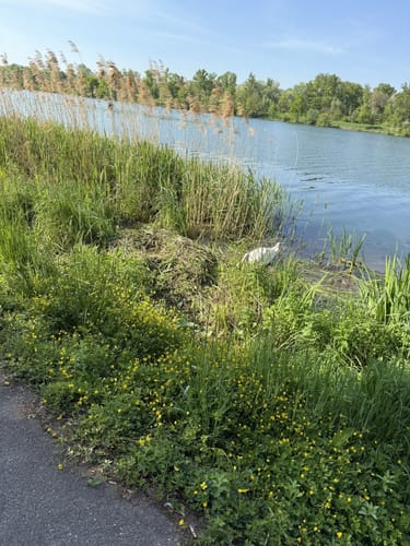 Breisach am Rhein - Staufen im Breisgau - Heinehof