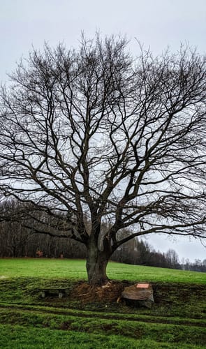 Rundweg Oberlichtenau-Keulenberg