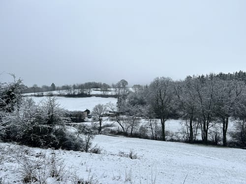 EifelSchleife Tönnesbusch