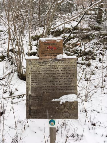 Zur Burg Reichenstein entlang dem Wolfstal