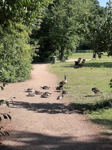 Darmstadter Wildpark-Weg
