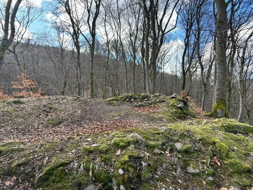 Gisonenpfad (Premiumwanderweg)
