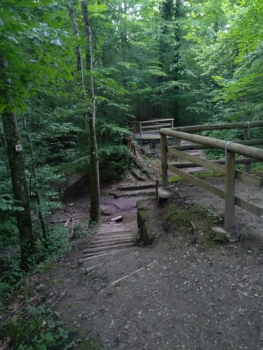 Rundwanderweg 5: Gaffenberg - Schweinsberg - Köpfertal