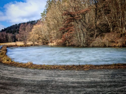 Bebenhausen - Goldersbachtal - Wildgehege