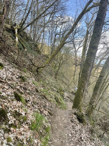 Marienthal und das Ende der Welt