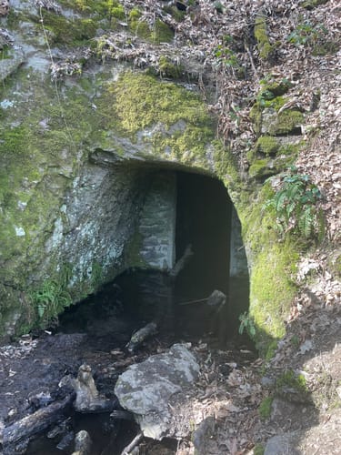 Marienthal und das Ende der Welt