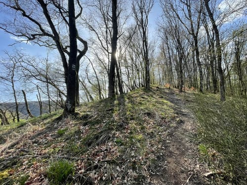 Marienthal und das Ende der Welt