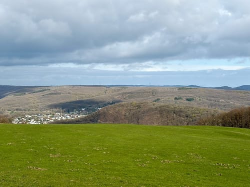 Neue und Alte Buchen