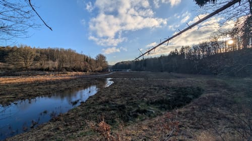 Zeulenrodaer Meer Rundweg
