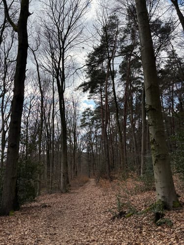 Um den Ziegenberg und Scharfeberg