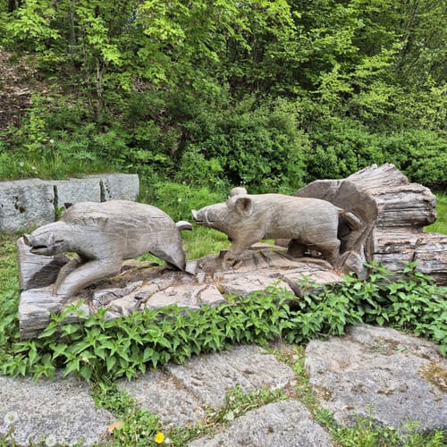 Rundweg: Reiseneggerfelsen - Saubadfelsen