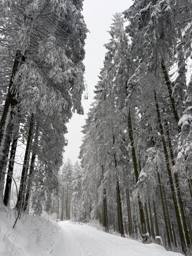 Rundweg Wildewiese