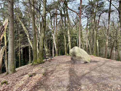 Heidschnuckenweg Etappe 1: Fischbek - Buchholz in der Nordheide