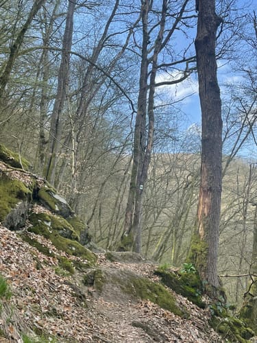Marienthal und das Ende der Welt