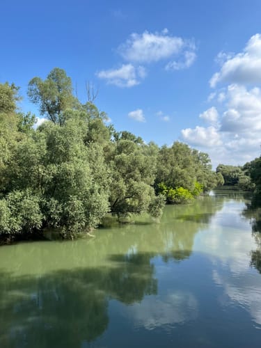 Auf dem Damm am Rhein: Um die Ketscher Rheininsel