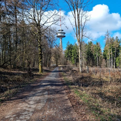 Auf dem Deister-Kamm von Springe nach Bantorf