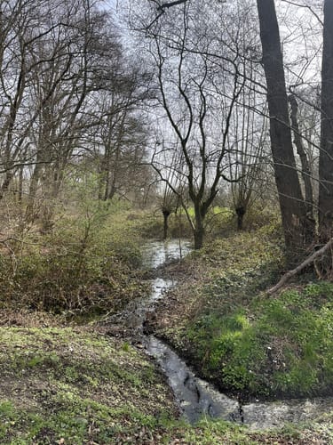 Nettetal Hinsbeck: Krickenbecker Seen (X12-A5-A3)