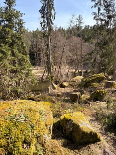 Uferpfad-Runde Waldnaabtal (lang)