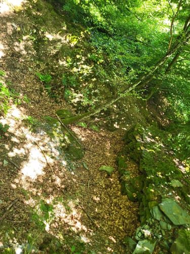 Westwall und Historischer Wanderweg Simonskall