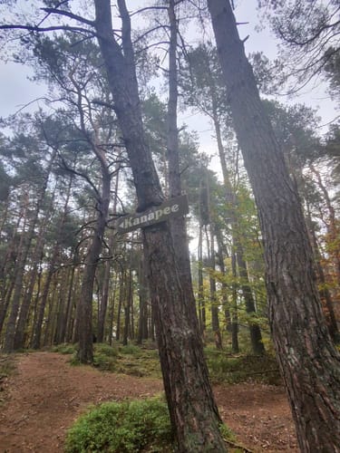 Ganerbenweg (Premiumwanderweg)