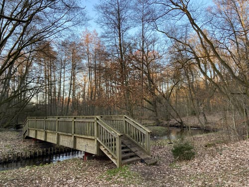 Im Estetal zwischen Bötersheim, Dohrener Mühlenbach und Kakenstorf