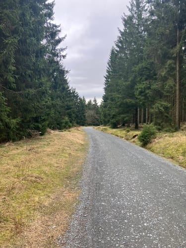 Auf den Großen Feldberg