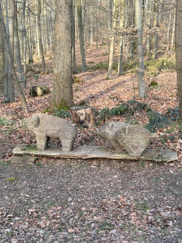 Riegerberg Runde