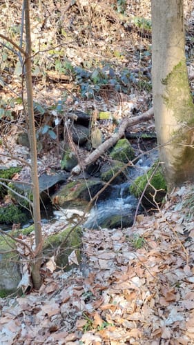 Pillnitz Rundweg
