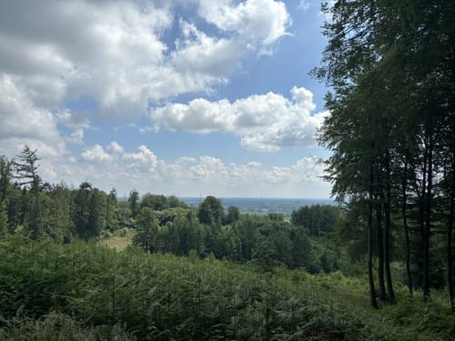 Bad Iburg und Lienenerberg Rundweg im Teutoburger Wald