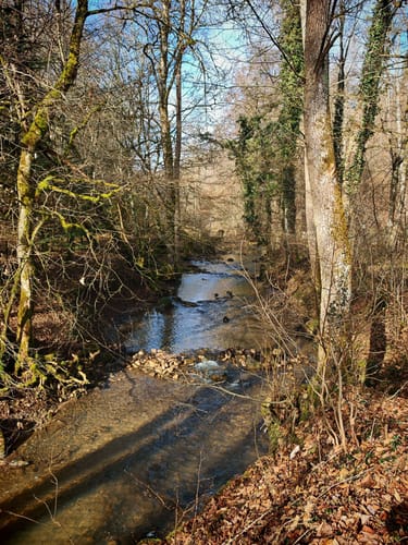 Bebenhausen - Goldersbachtal - Wildgehege