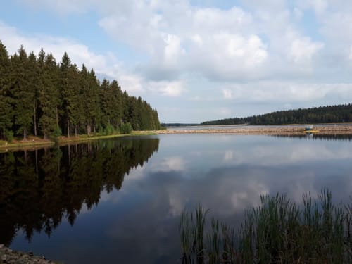 Talsperre Muldenberg