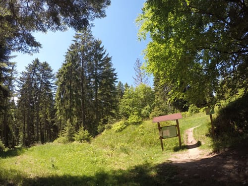Rund um Kaltenbronn