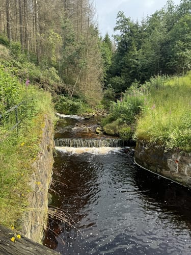 Rund um Altenau
