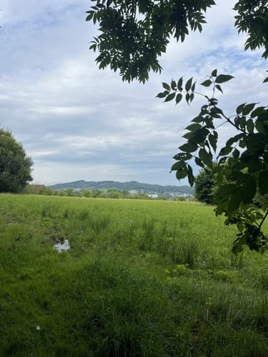 Kleine Felsenmeerrunde
