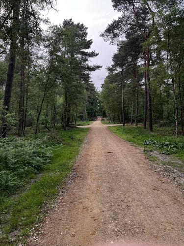 Heiderundweg (Teverener Heide Lila Route)