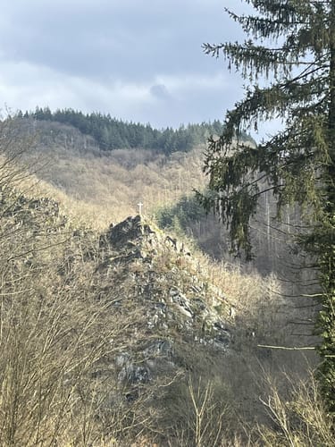 Waldbreitbacher Wiedtraum