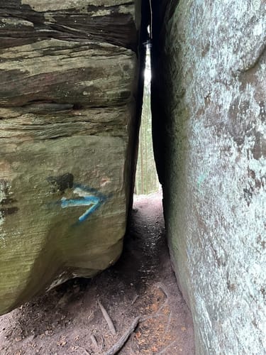 Wasser-, Wald- und Wiesenpfad (Premiumwanderweg)